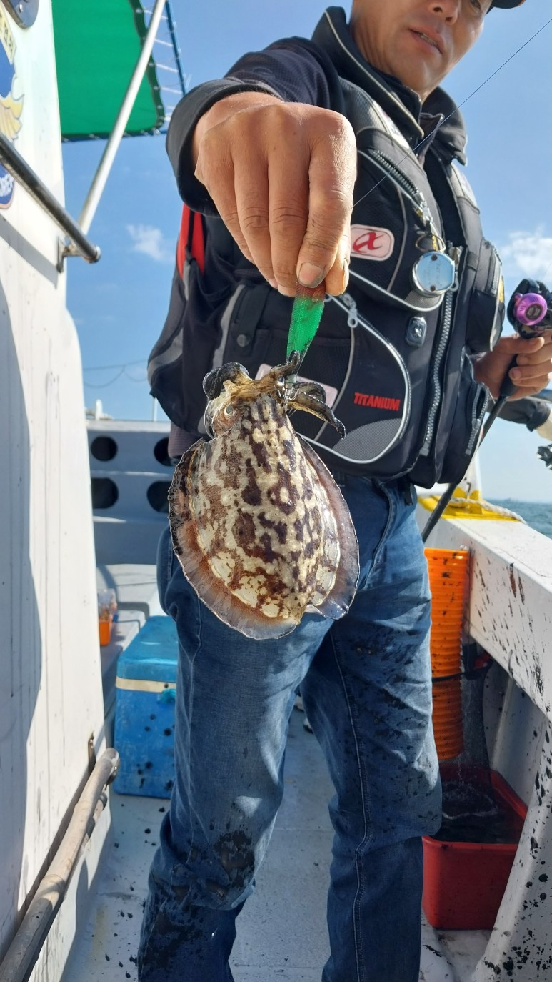 Cuttlefish